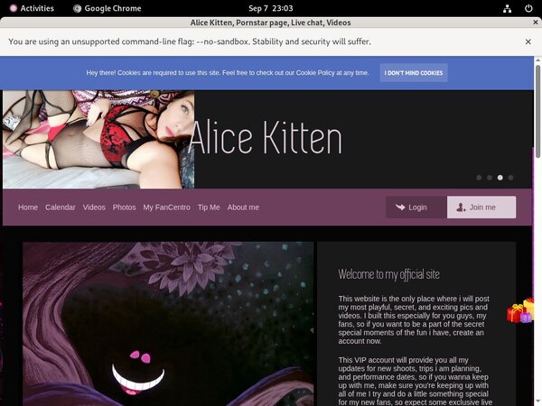 Alice Kitten Discount Cheapest Alice Kitten Discount Cheapest