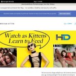 Americankittens Full Hd Porn