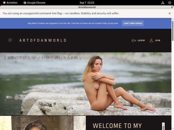 Artofdanworld Porn Videos