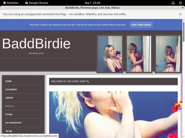 Baddbirdie.modelcentro.com Day Trial Membership