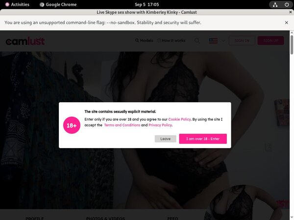 Camlust.com Discount Porno