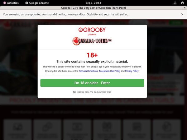 Canadatgirl Fresh Passwords Canadatgirl Fresh Passwords