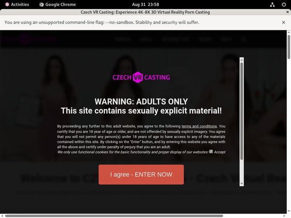 Czechvrcasting Accounts Working