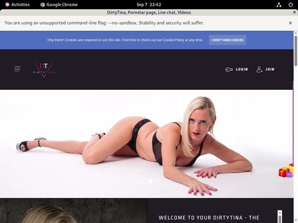Dirtytina.site Porn Passwords