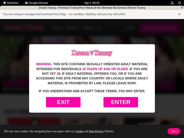 Dream Tranny Join Again