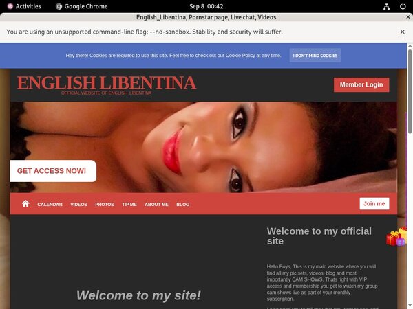 English_Libentina Review Site