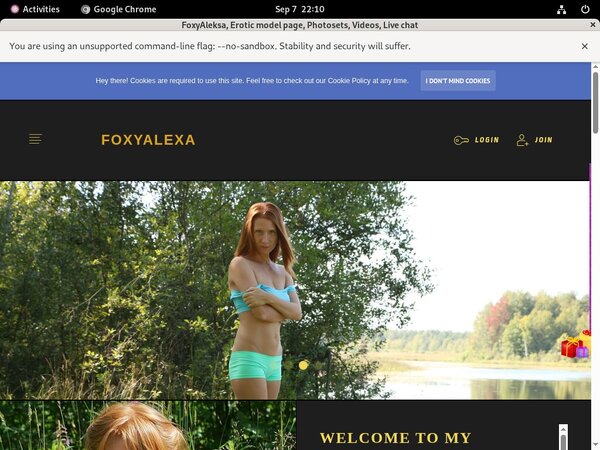 Foxyaleksa.com Free Hd Porn
