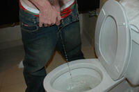 Free Boys Pissing Accs s1