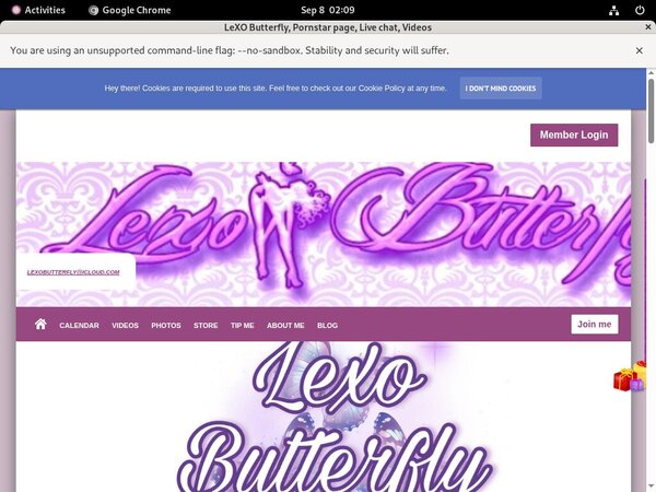 Free LeXO Butterfly Username And Password