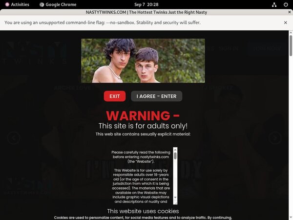 Full Nastytwinks Movies