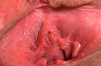 Gapemypussy Porn Discounts s0