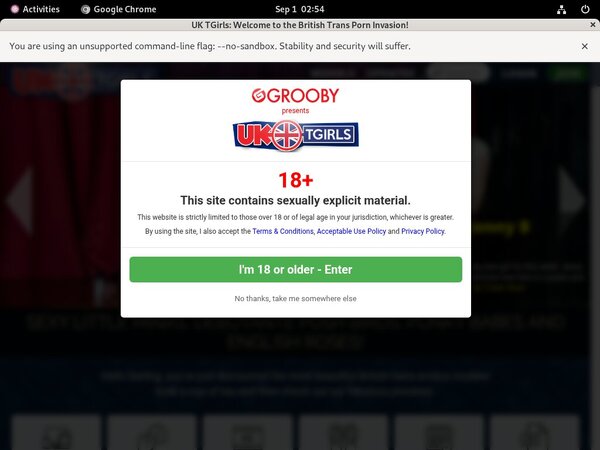 Get UK TGirls Password