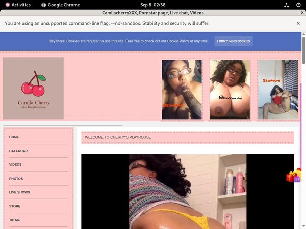 How To Get A Free Camilacherryxxx.modelcentro.com Account