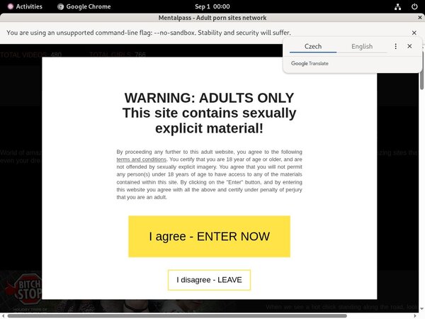 How To Get A Free Mentalpass Account