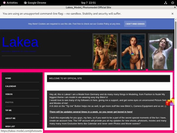 Lakea_Model Ad