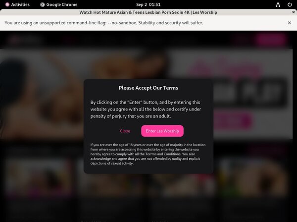 Lesworship Premium Passwords