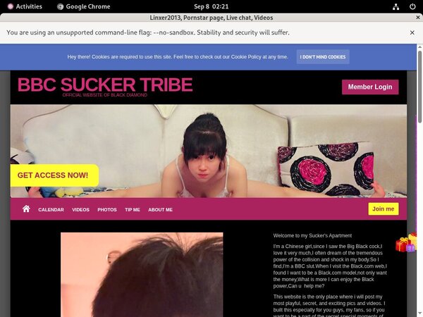 Linxer2013 Hd Sex Videos