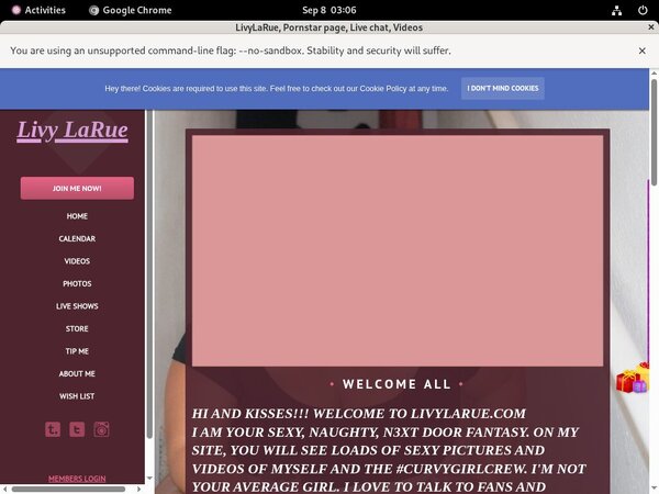 LivyLaRue Adult Passwords