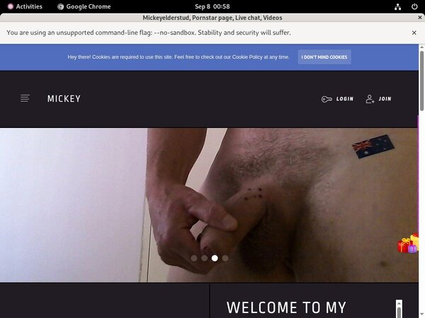 Mickeyelderstud Accounts Passwords