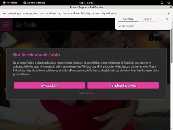 Sari Sander Direct Pay