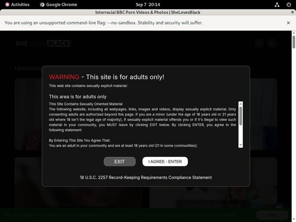 Shelovesblack.com Xxx Videos