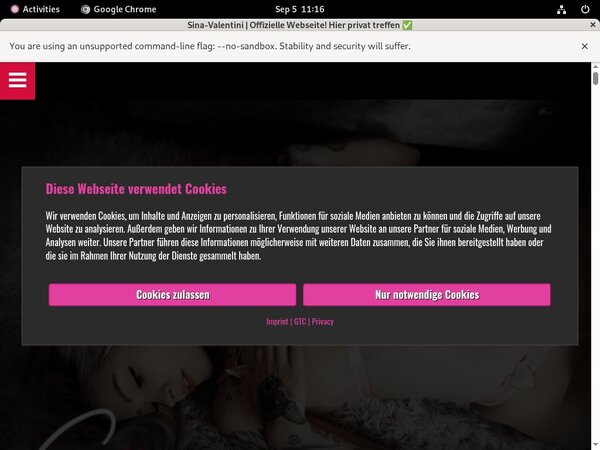 Sina-valentini.de Free Access