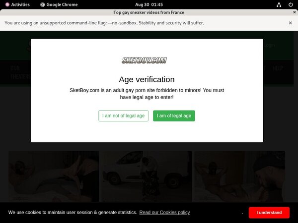 Sketboy.com Full Access Sketboy.com Full Access
