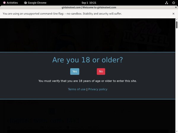 Steel In Girls Premium Password