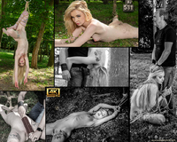 Subspaceland.com Free Trial Offer s2 Subspaceland.com Free Trial Offer s2