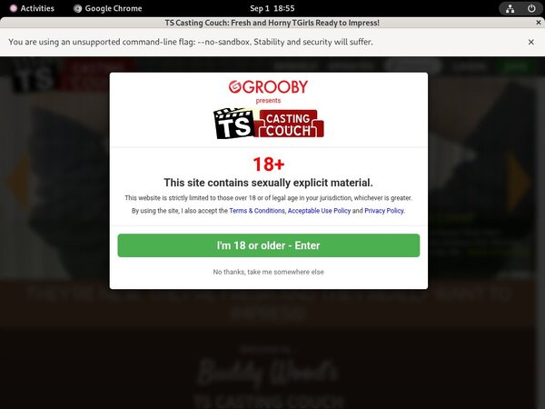 Ts-castingcouch.com Pay Site Ts-castingcouch.com Pay Site