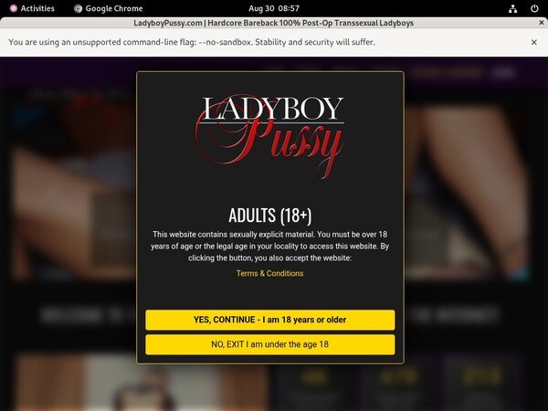 Www Ladyboy Pussy