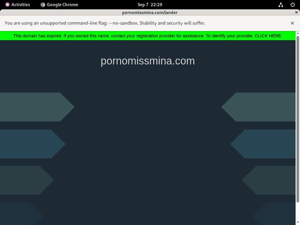 Free Miss Mina Pornostar Accounts And Passwords